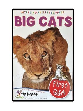 BUNDLE & SAVE🎉 Miles Kelly Big Cats First Q&A Book